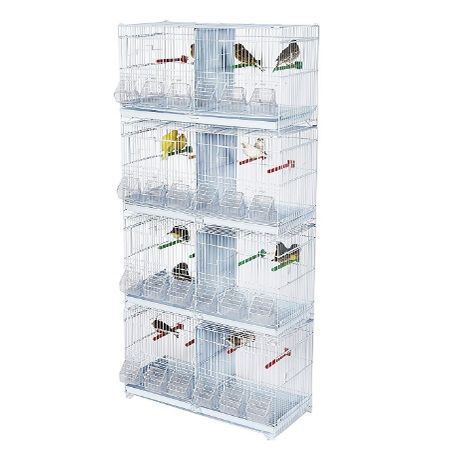 Las 10 mejores jaulas para canarios | AnimalesHoy